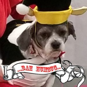 Meet your Posher, Paul